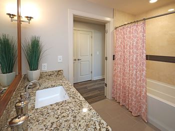 Updated Model Suite at Residences at 1717 Cleveland OH - Bathroom